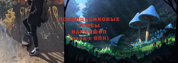 ешки Дмитровск