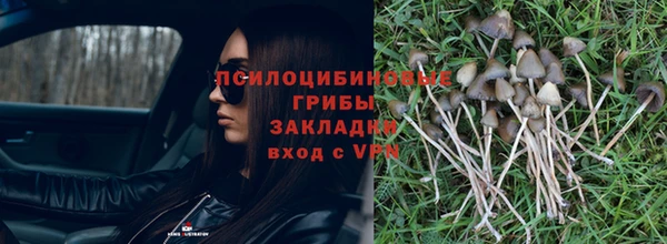 ешки Дмитровск