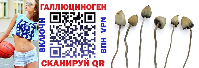 Галлюциногенные грибы Psilocybe  Купить  Починок 